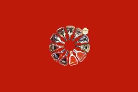颍泉回收红酒